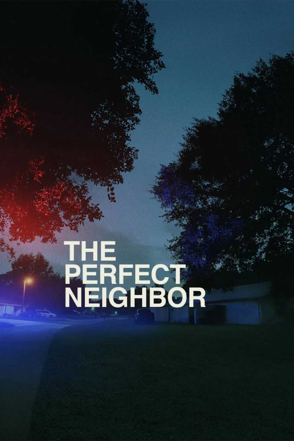 the-perfect-neighbor-poster.jpg