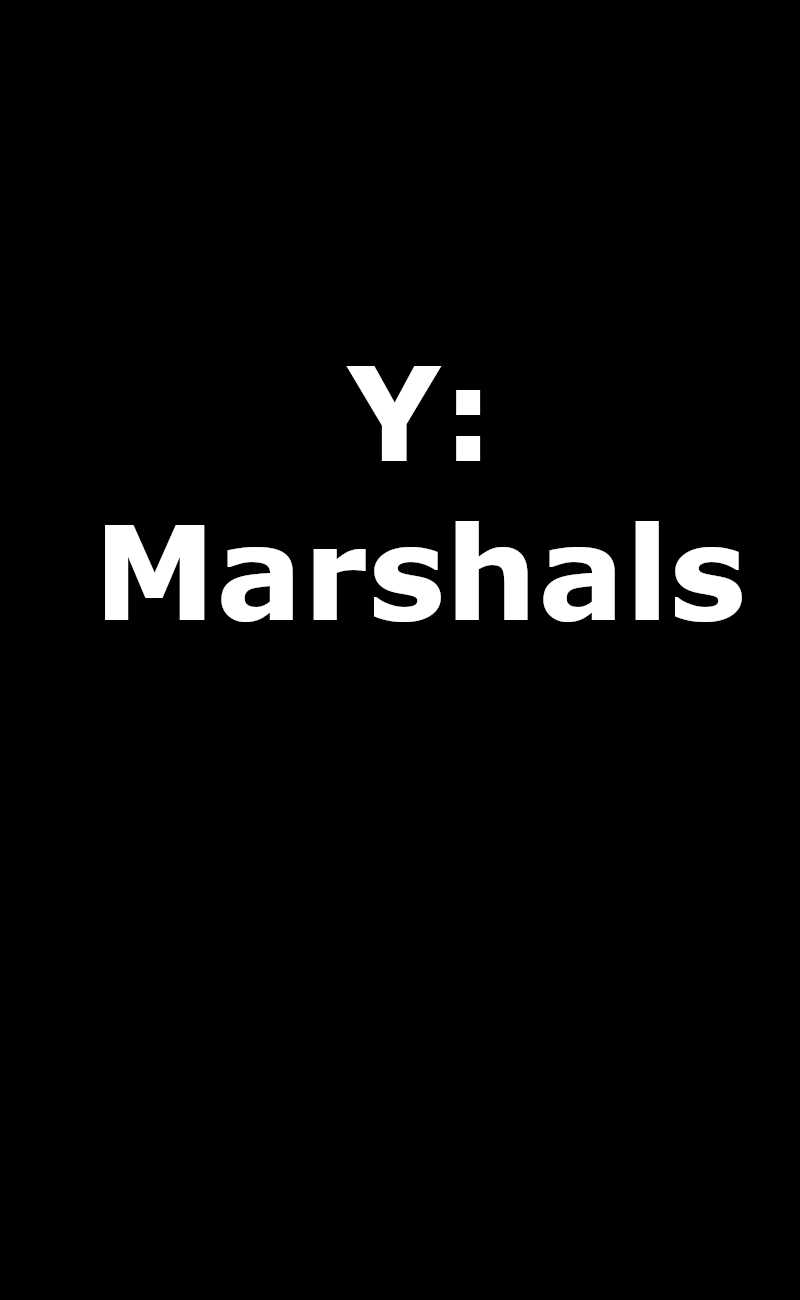 y-marshals-upcoming-tv-show-logo-placeholder.jpg