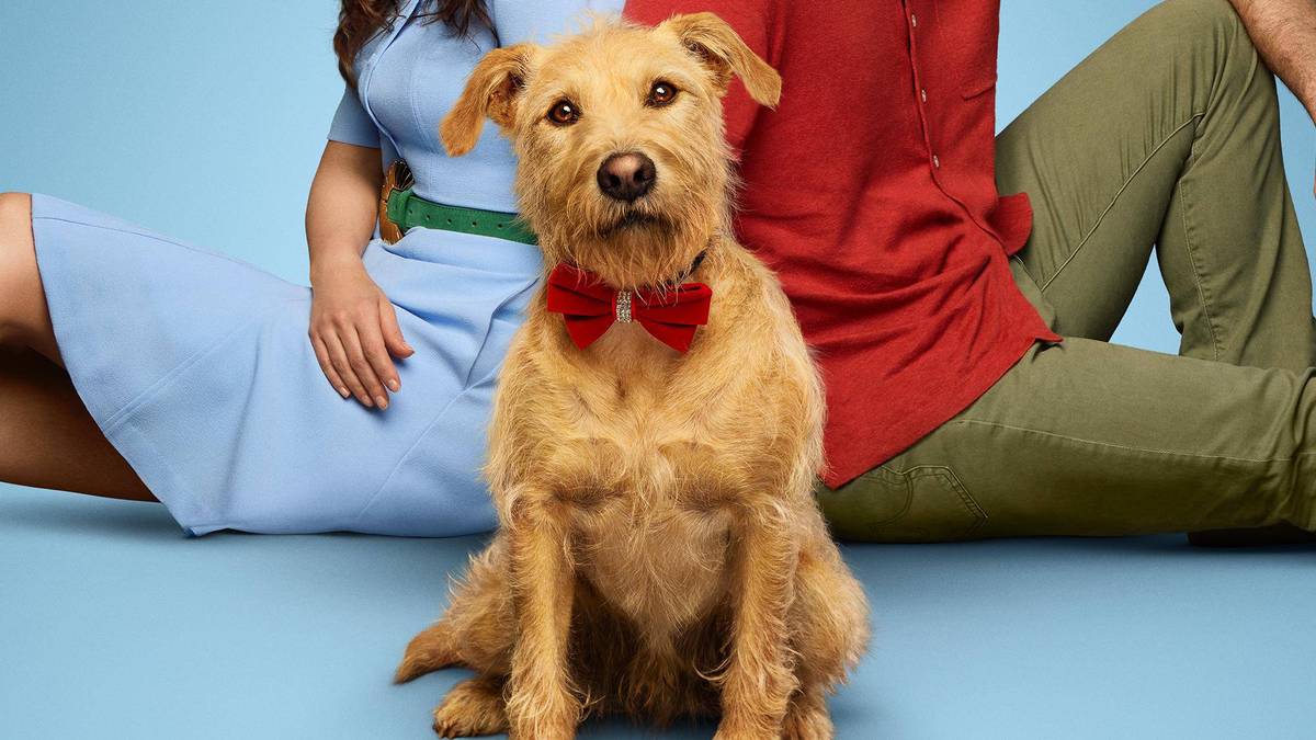 Merv | MovieWeb