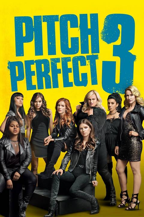 Perfect Four Rebel Wilson Teases Exciting Update for Pitch Perfect 4