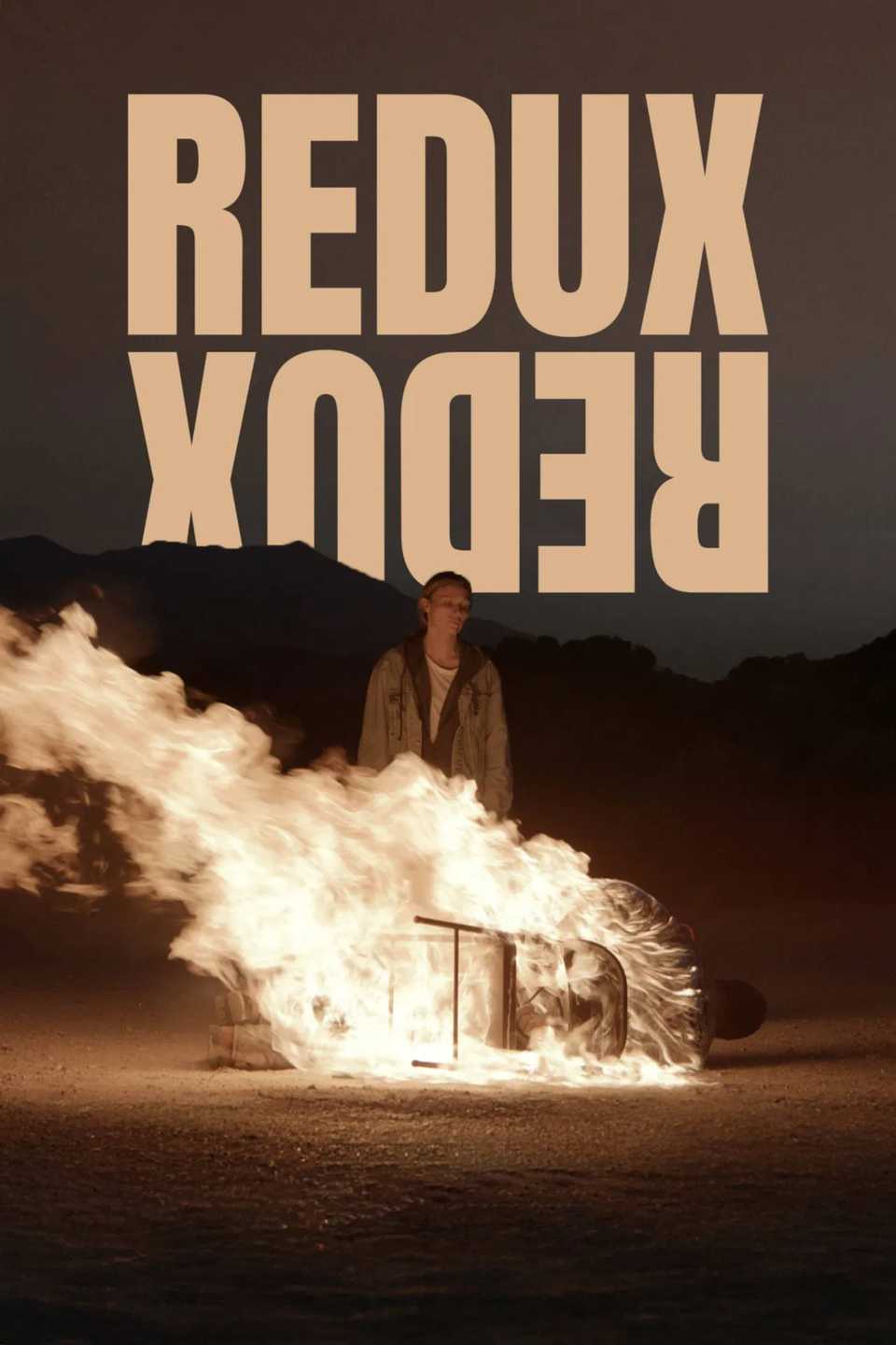 redux-redux-poster.jpg