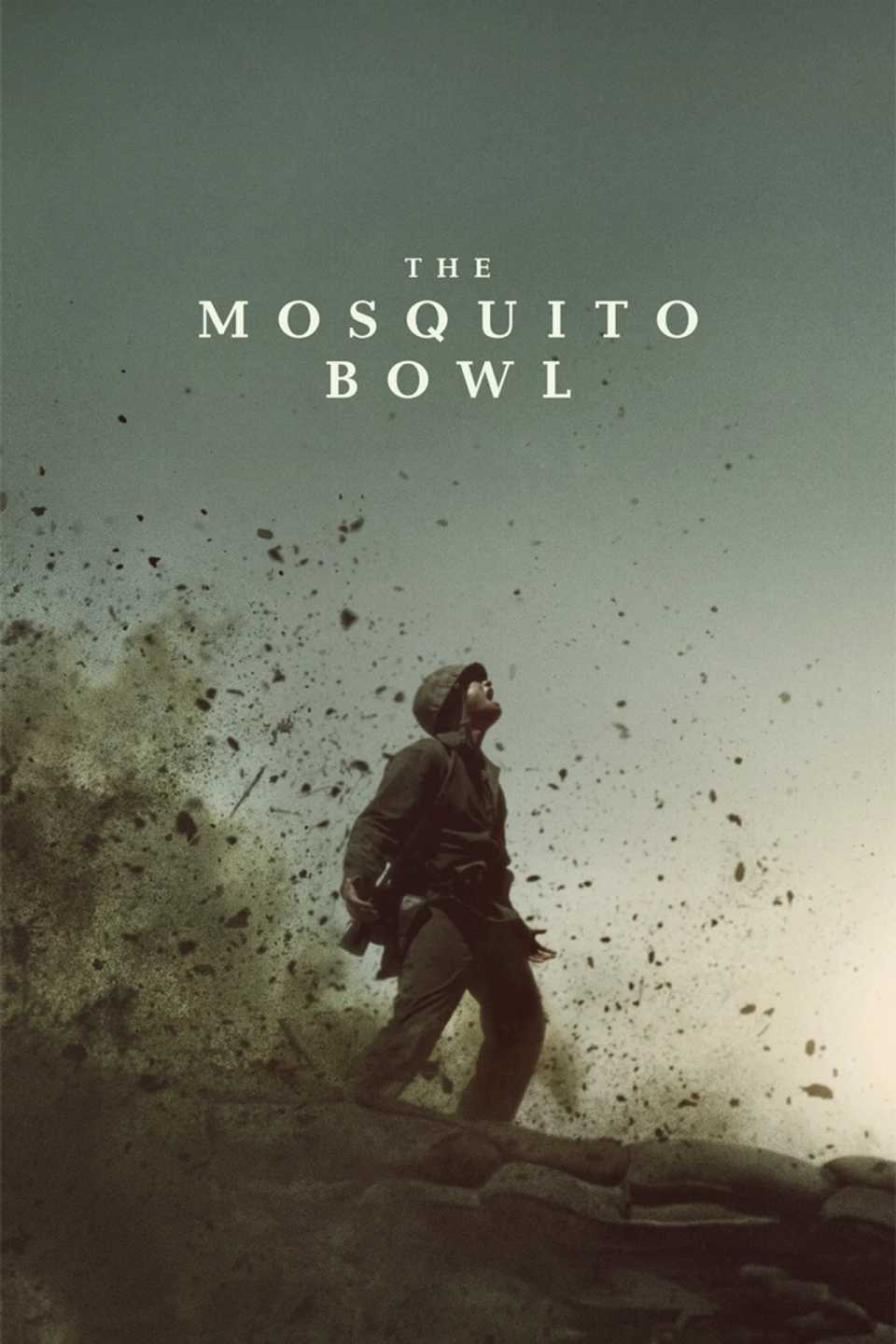 the-mosquito-bowl-poster.jpg