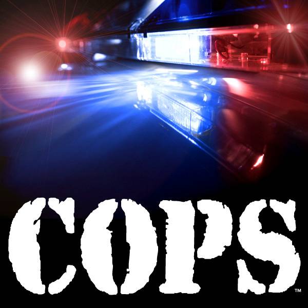 cops | MovieWeb
