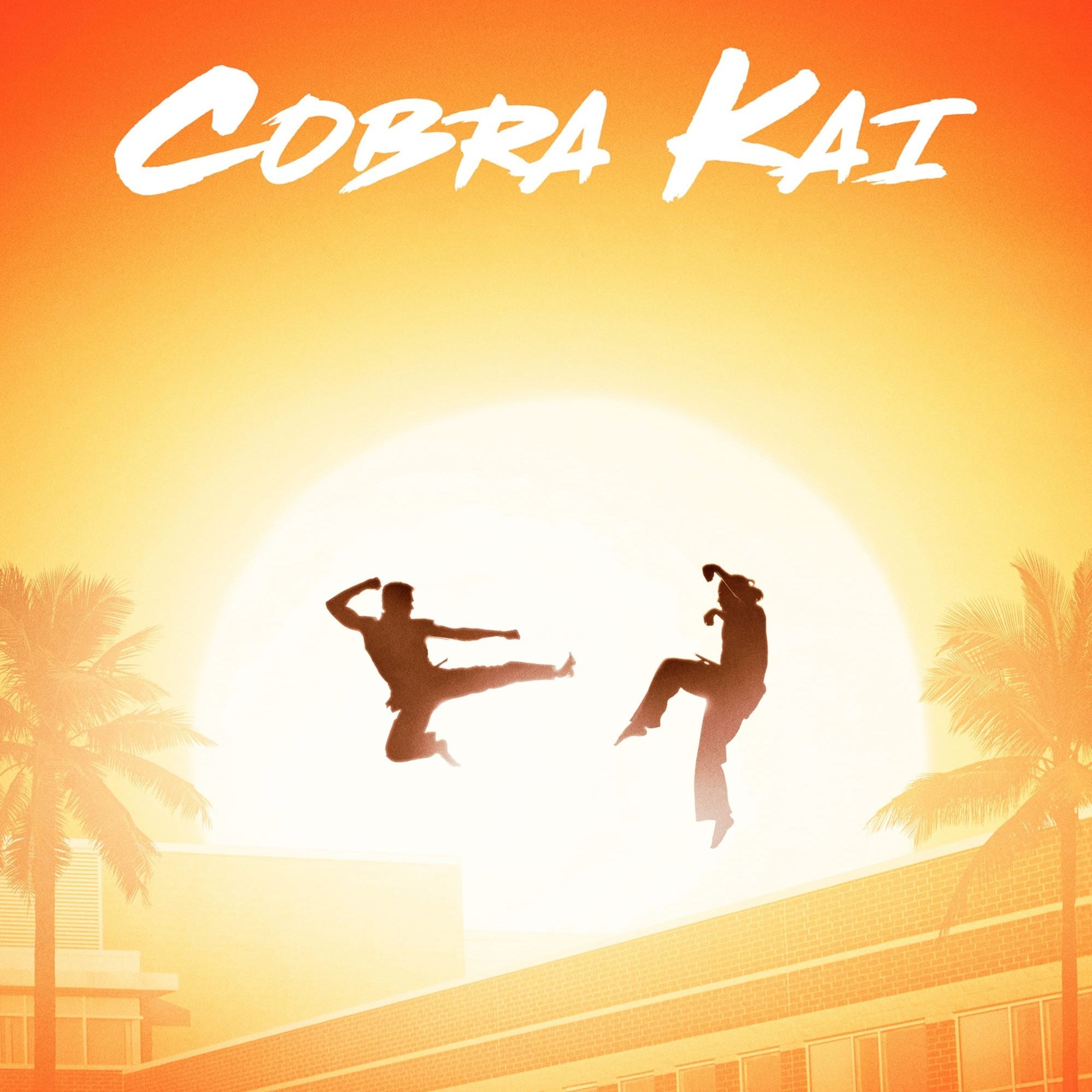 New Cobra Kai Projects in Development Despite the Series' Cancellation